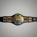 Replica AEW TBS Championship Belt featuring the Women's Title.