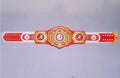 Ultimate fan collectible – Alabama Crimson Tide WWE Legacy Title belt.