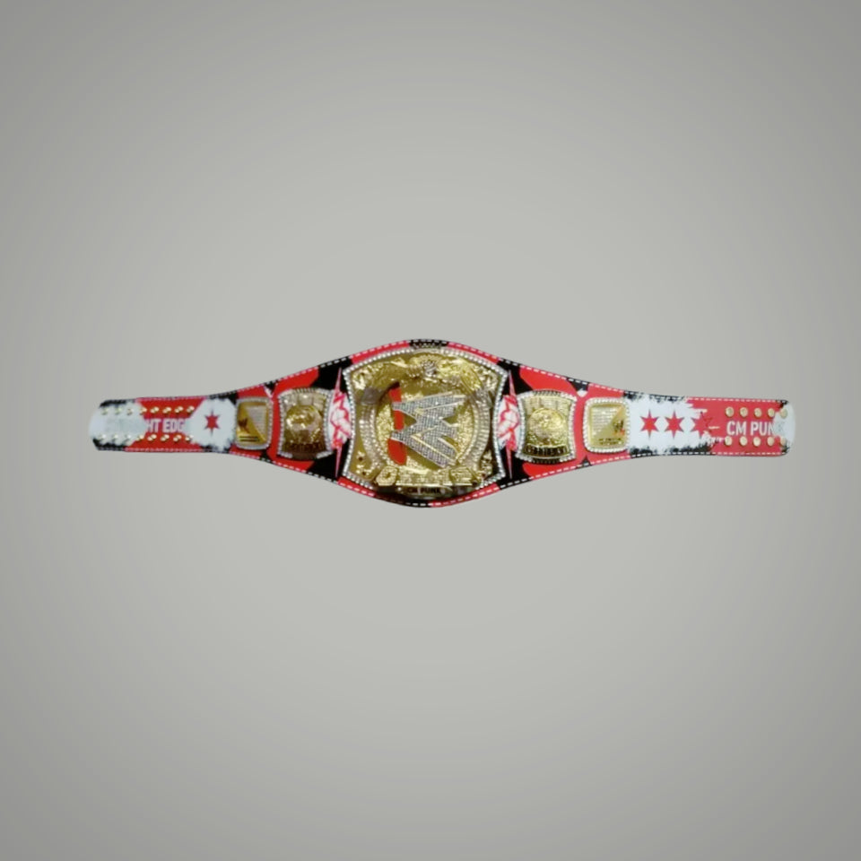 Custom WWE champion belt of CM Punk, signature series.