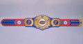 Ultimate fan collectible – Florida Gators WWE Legacy Title belt.