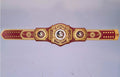 Ultimate fan collectible – Florida State Seminoles WWE Legacy Title belt.