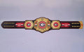 Ultimate fan collectible – Georgia Bulldogs WWE Legacy Title belt.