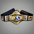 Hulk Hogan 85 championship belt with iconic WWF white strap design and classic logo detailing.