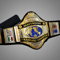 Close-up side plates of Hulk Hogan’s 1985 WWF white strap belt showcasing intricate detail and champion etching.
