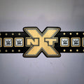 4.	Wrestling NXT Belt 2012 with intricate championship design for fans.