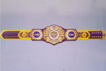 Ultimate fan collectible – LSU Tigers WWE Legacy Title belt.