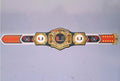 Ultimate fan collectible – Miami Hurricanes WWE Legacy Title belt.