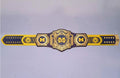 Ultimate fan collectible – Michigan Wolverines WWE Legacy Edition belt.