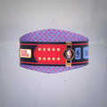 NBA LA Clippers WWE Championship Legacy Belt.