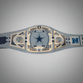 NFL and WWE legacy title belt for Dallas Cowboys fans.