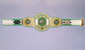 Detailed view of the Dallas Stars WWE Championship Belt, featuring embossed logos and a polished finish.