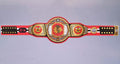 Chicago Blackhawks NHL Legacy Edition belt displayed prominently, symbolizing team pride.