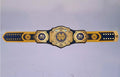 Ultimate fan collectible – Notre Dame Fighting Irish WWE Legacy Title belt.