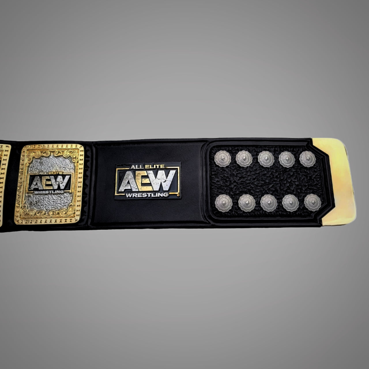 Women's Title AEW TBS Championship Belt replica.