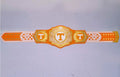 Ultimate fan collectible – Tennessee Volunteers WWE Legacy Title belt.