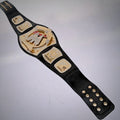 Ultimate WWE Spinner Belt Collector's Championship Title.