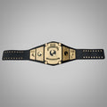 New Women's AEW Championship Belt for World Heavyweight Title representation.