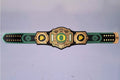 Ultimate fan collectible – Oregon Ducks WWE Legacy Title belt.